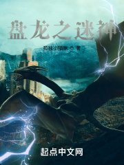 盘龙之宴价格